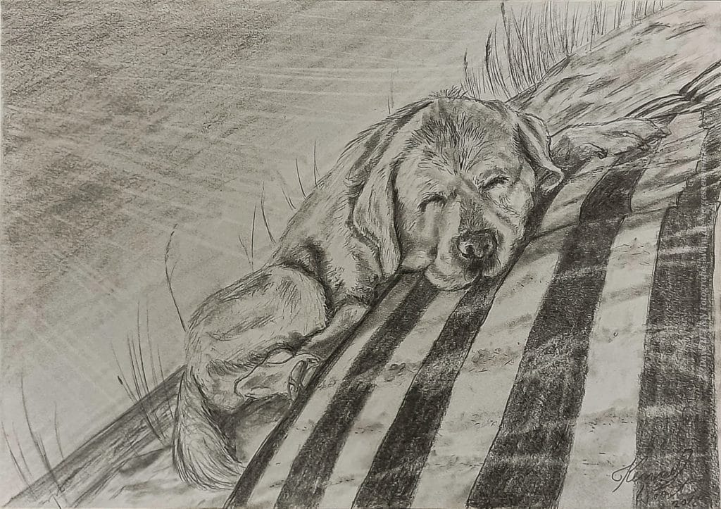 Tierportrait eines Hundes auf einer Decke schlafend. Dargestellt in einer prachtvollen Bleistiftzeichnung.